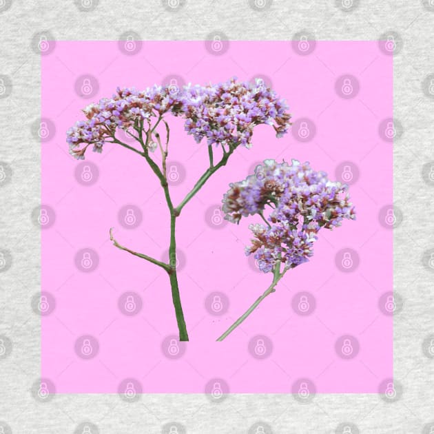 Purple flowers with a baby pink background by sunnytvart